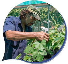 Man watering a plant with a spray bottle
