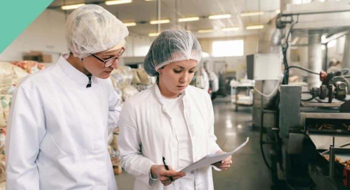 Achieving high quality in the VET sector