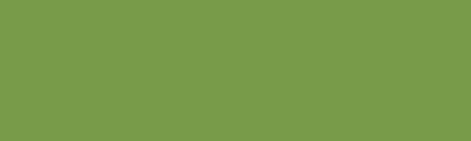 DEWR green corp banner for short feature tiles