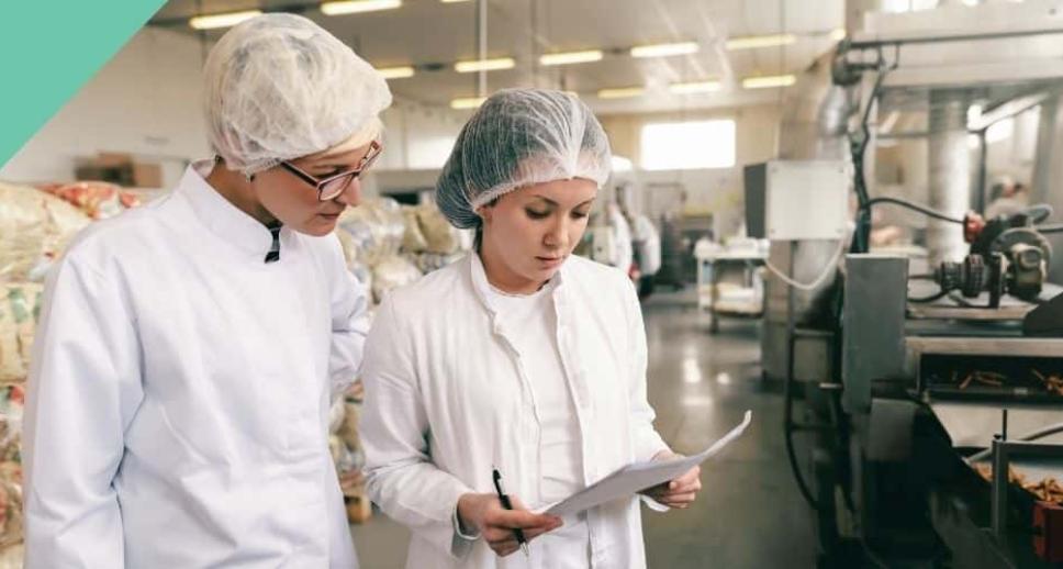 Achieving high quality in the VET sector