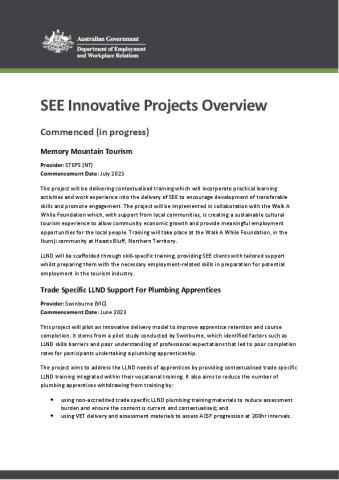 SEE Innovative Projects Overview.pdf