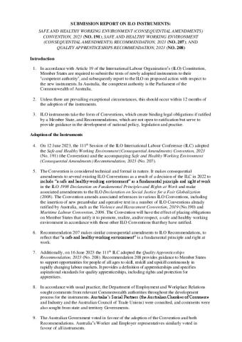 Submission Report on ILO Instruments C191 R207 R208.pdf