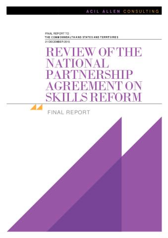 final_report_npa_review.pdf