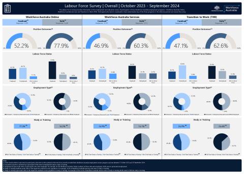 Labour Force Survey dashboard (1 October 2023 to 30 September 2024).pdf