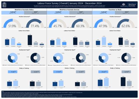 Labour Force Survey dashboard (1 January 2024 to 31 December 2024).pdf