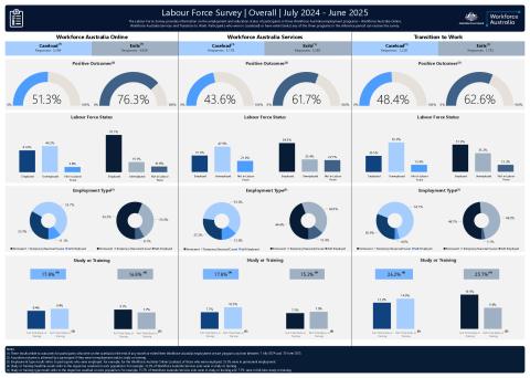 Labour Force Survey dashboard (1 July 2024 to 30 June 2025).pdf