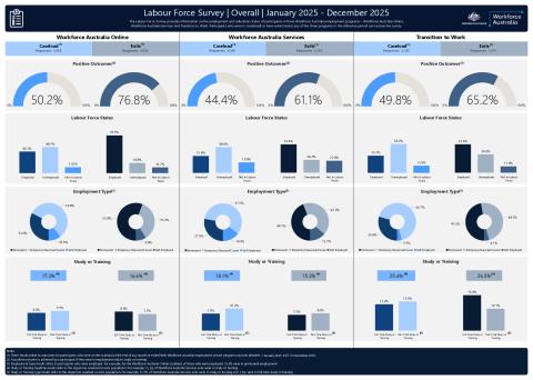Labour Force Survey dashboard (1 January 2025 to 31 December 2025).pdf