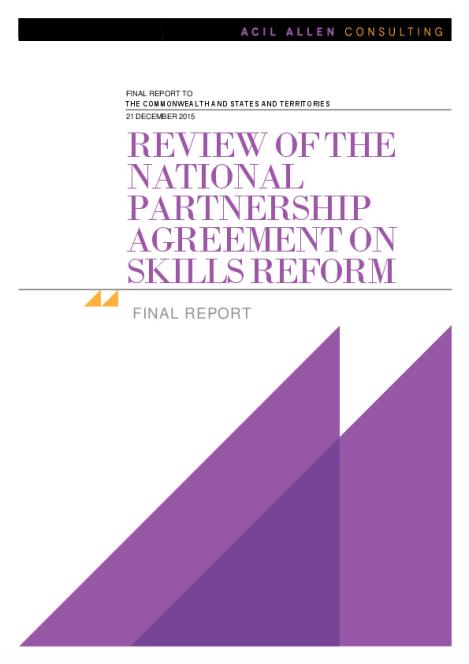 final_report_npa_review.pdf