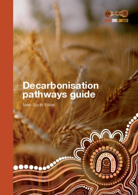 NintiOne_NetZero_NSW_DecarbonisationGuide_DigitalAW-accessible-revised.pdf