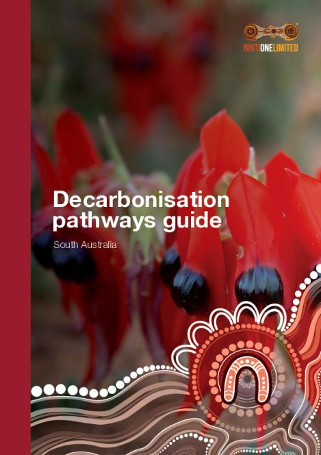 NintiOne_NetZero_SA_DecarbonisationGuide_DigitalAW-accessible.pdf